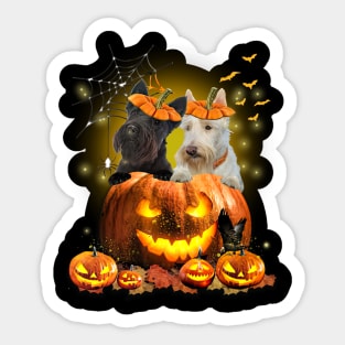 Scottish Terriers Spooky Halloween Pumpkin Dog Head Sticker